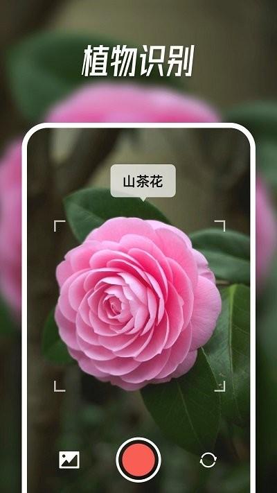 智能识别大师软件下载,智能识别大师,识别app